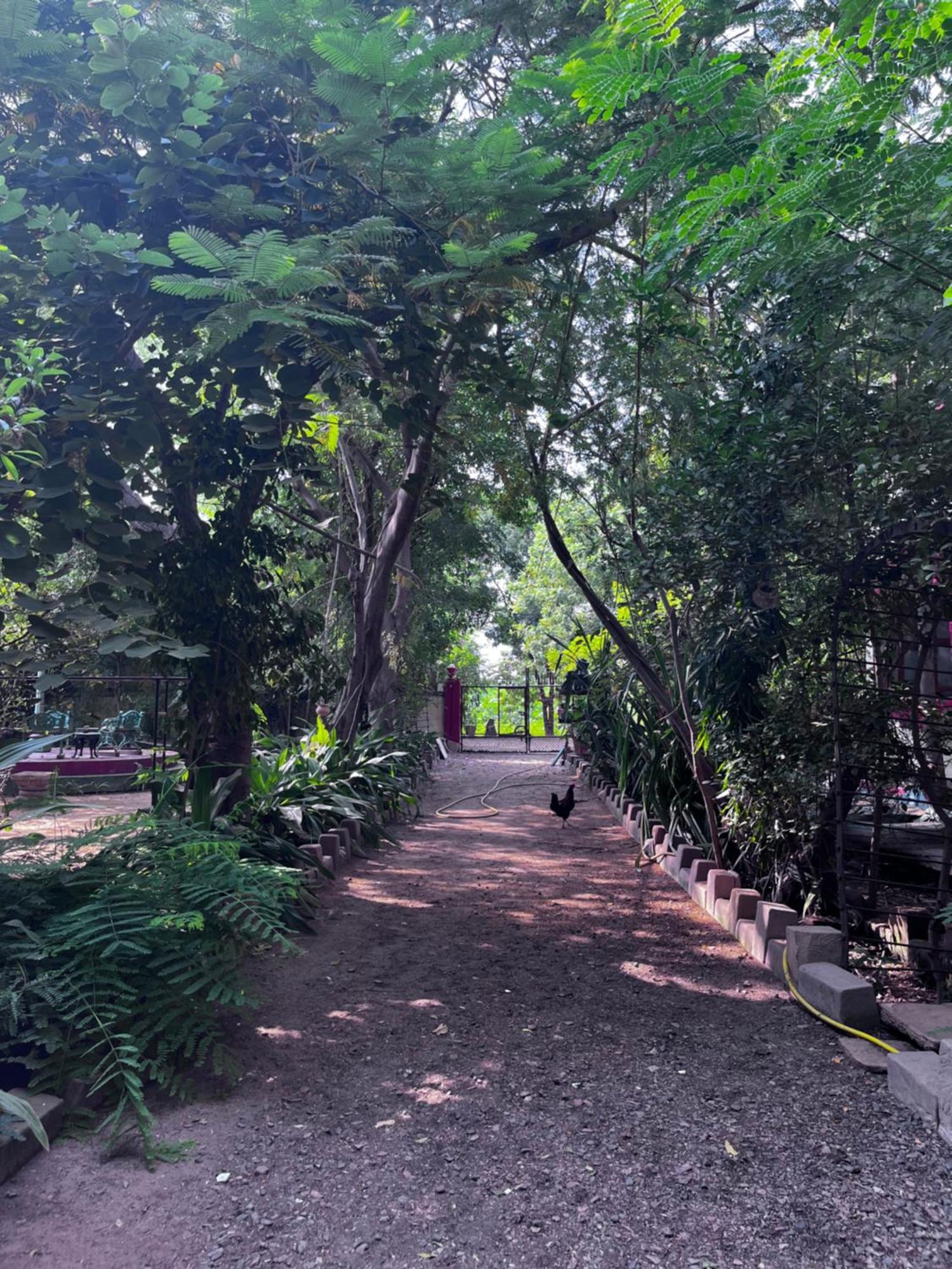 Sharad Baug Homestay Bhuj Dış mekan fotoğraf