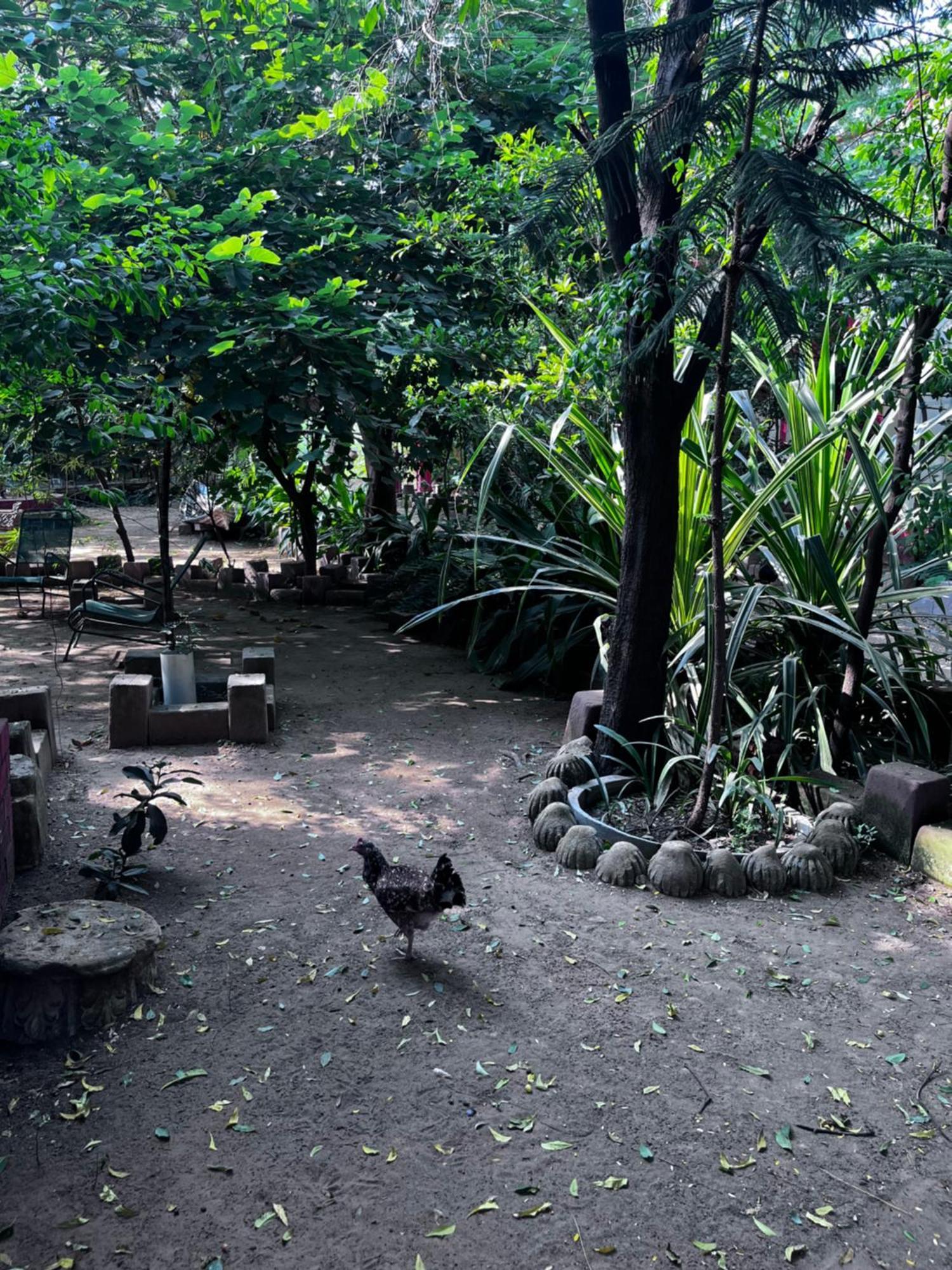 Sharad Baug Homestay Bhuj Dış mekan fotoğraf